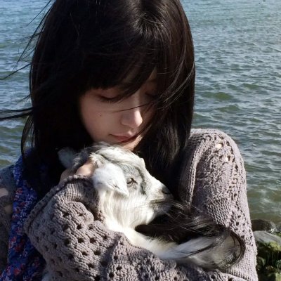 龙猫